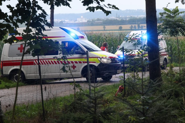 Wels-Puchberg: Auto nach Crash gegen Baum in Flammen aufgegangen