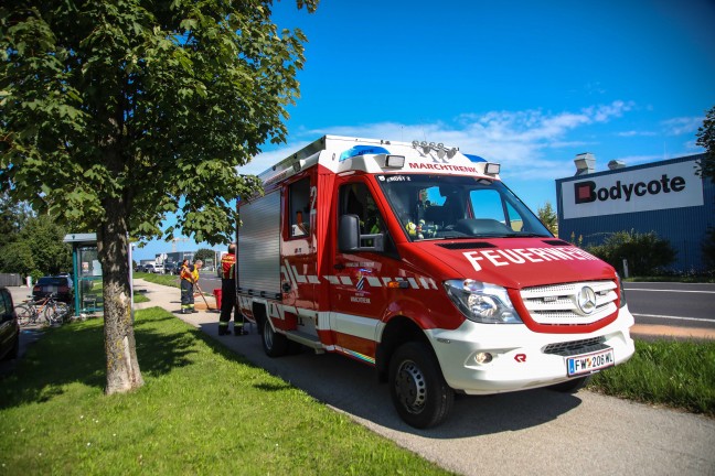 �laustritt im Bereich einer Bushaltestelle an der Wiener Stra�e in Marchtrenk