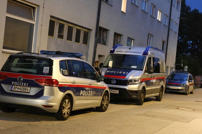Einsatzkr�fte zu Personenrettung bei Geb�ude in Wels-Neustadt alarmiert