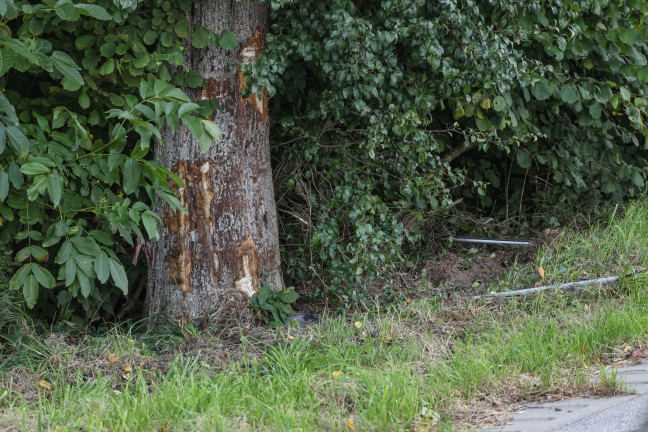 Auto bei Verkehrsunfall in Pilsbach mit gro�er Wucht seitlich gegen Baum geprallt