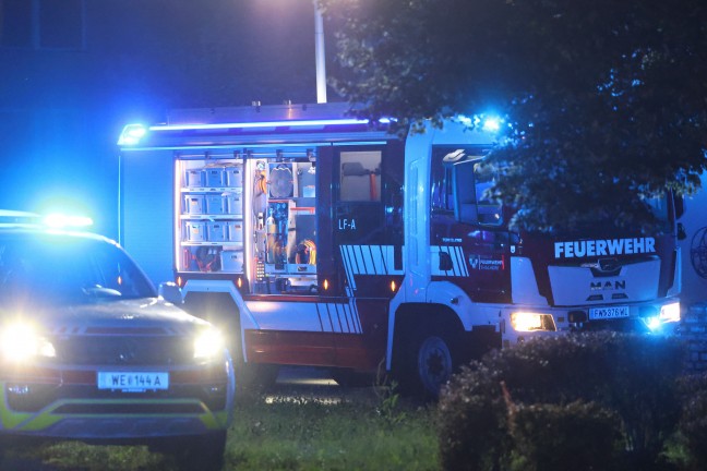 Personenrettung: Schwerverletzte Person aus Bachbett des Katzenbachs in Thalheim bei Wels gerettet