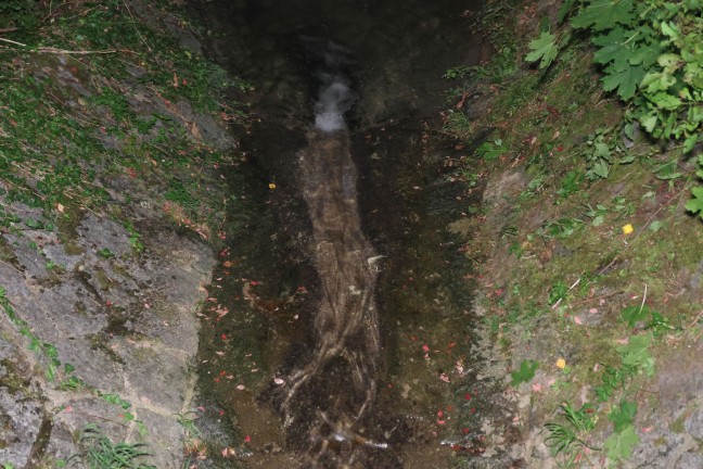 Personenrettung: Schwerverletzte Person aus Bachbett des Katzenbachs in Thalheim bei Wels gerettet