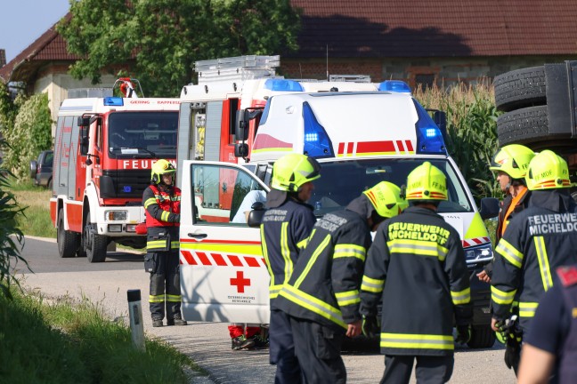 Schweine gro�teils gerettet: Tiertransportanh�nger auf Stra�e in Sipbachzell umgest�rzt