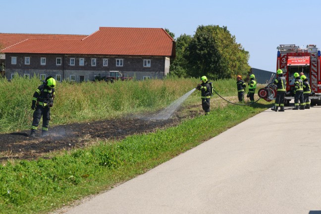Flurbrand in Marchtrenk sorgte f�r Einsatz zweier Feuerwehren