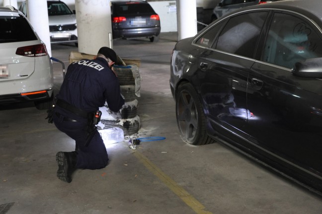 Elf Kinder und Jugendliche f�r Serie an Br�nden in Wels-Lichtenegg verantwortlich