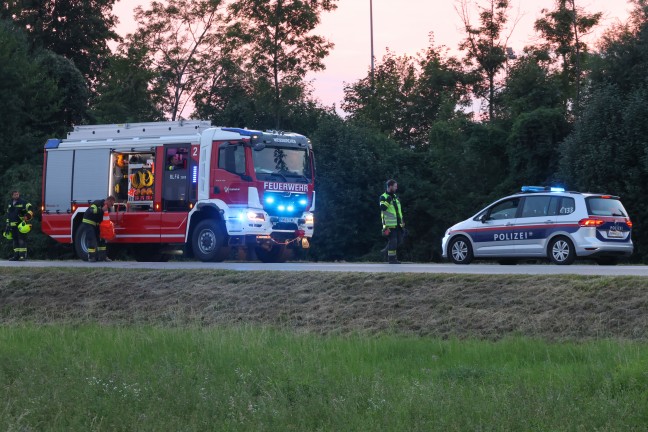 Feuerwehr zu vermeintlichem Feldbrand nach Wei�kirchen an der Traun alarmiert