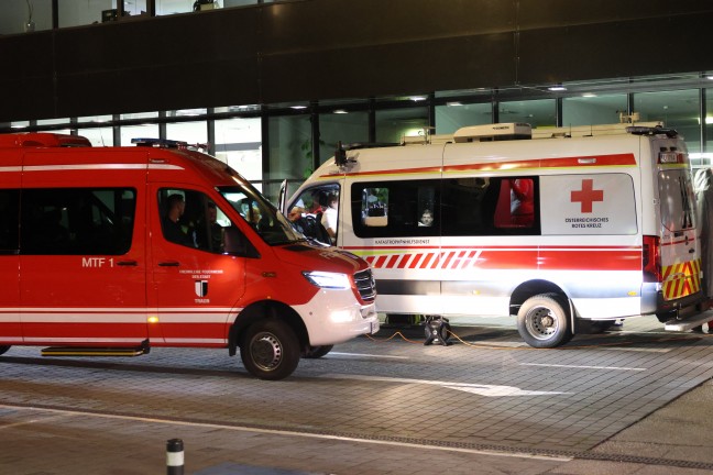 Such- und Rettungshunde im Einsatz: Stundenlange Suche nach abg�ngiger demenzkranker Frau in Linz