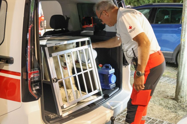 Such- und Rettungshunde im Einsatz: Stundenlange Suche nach abg�ngiger demenzkranker Frau in Linz