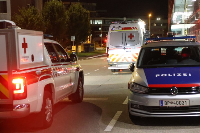 Such- und Rettungshunde im Einsatz: Stundenlange Suche nach abg�ngiger demenzkranker Frau in Linz