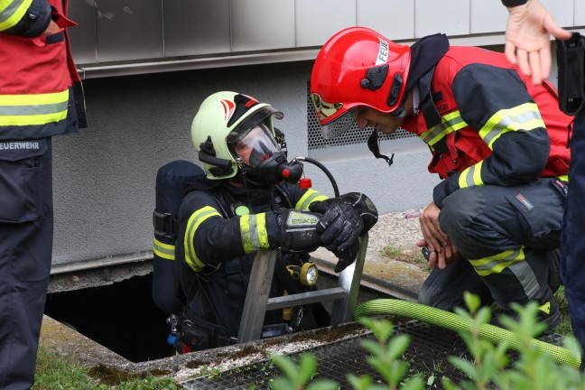 44 Personen evakuiert: Wieder gr��erer Einsatz bei Kellerbrand in einem Hochhaus in Wels-Lichtenegg