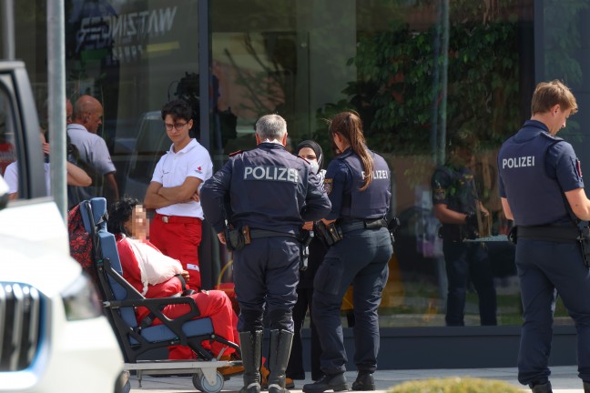 Demonstration: Kundgebung bei Unternehmen in Gunskirchen - Demonstranten auch am Firmendach