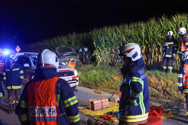 Crash gegen Baum: Verunfalltes Auto landet bei Verkehrsunfall in Buchkirchen im Maisfeld