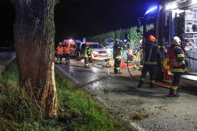 Crash gegen Baum: Verunfalltes Auto landet bei Verkehrsunfall in Buchkirchen im Maisfeld