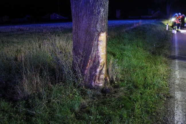 Crash gegen Baum: Verunfalltes Auto landet bei Verkehrsunfall in Buchkirchen im Maisfeld