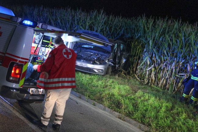 Crash gegen Baum: Verunfalltes Auto landet bei Verkehrsunfall in Buchkirchen im Maisfeld