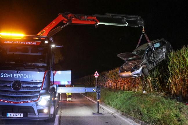 Crash gegen Baum: Verunfalltes Auto landet bei Verkehrsunfall in Buchkirchen im Maisfeld