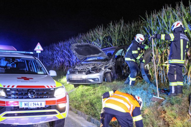Crash gegen Baum: Verunfalltes Auto landet bei Verkehrsunfall in Buchkirchen im Maisfeld