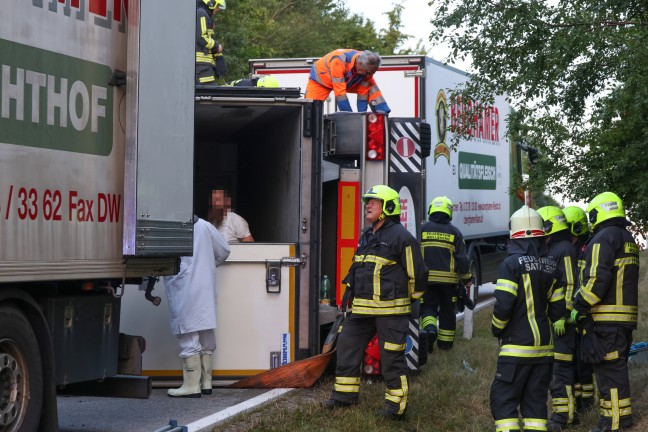 Steinerkirchen an der Traun: Mit Fleisch beladener LKW-Anh�nger in Kurvenbereich umgest�rzt