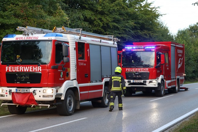 Steinerkirchen an der Traun: Mit Fleisch beladener LKW-Anh�nger in Kurvenbereich umgest�rzt