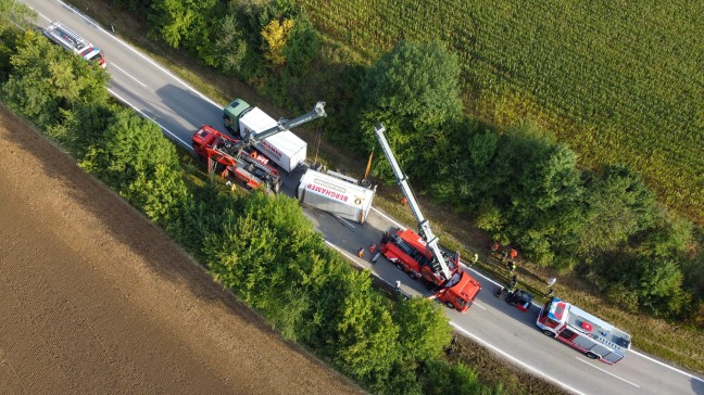 Steinerkirchen an der Traun: Mit Fleisch beladener LKW-Anh�nger in Kurvenbereich umgest�rzt