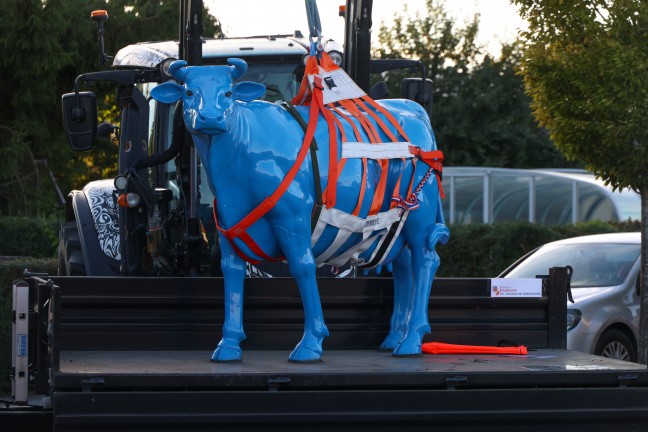 Regionale Fachmesse: Feuerwehr pr�sentiert eigenen F�hrungskr�ften St�tzpunkte und Spezialausr�stung