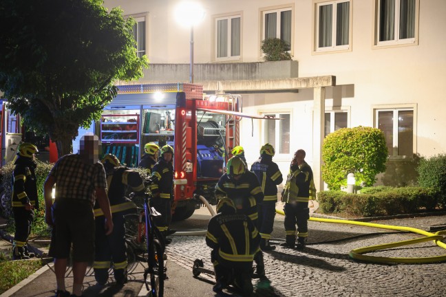 Polizei ermittelt: Einsatz zweier Feuerwehren bei Heckenbrand im Ortszentrum von Steinhaus