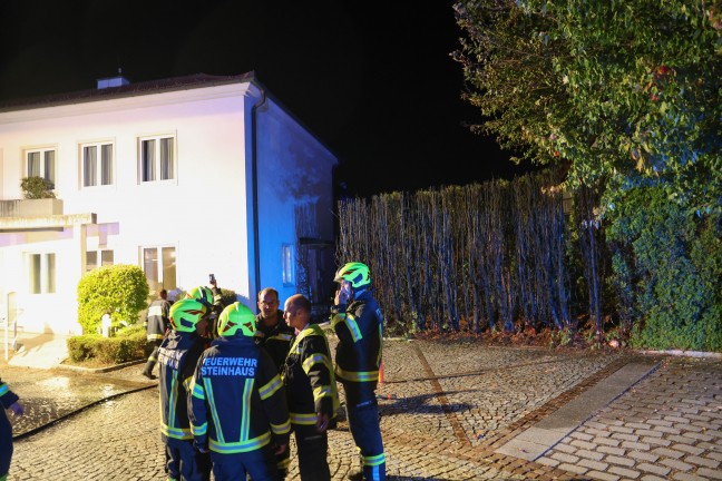 Polizei ermittelt: Einsatz zweier Feuerwehren bei Heckenbrand im Ortszentrum von Steinhaus