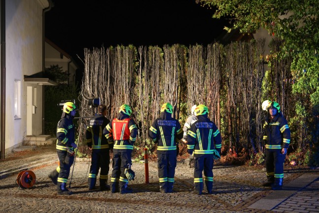 Polizei ermittelt: Einsatz zweier Feuerwehren bei Heckenbrand im Ortszentrum von Steinhaus