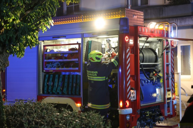 Polizei ermittelt: Einsatz zweier Feuerwehren bei Heckenbrand im Ortszentrum von Steinhaus