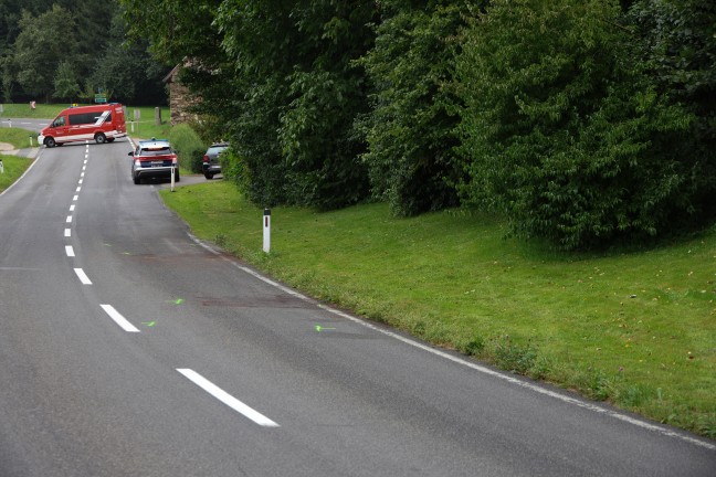 Einsatzkr�fte zu Personenrettung nach Kollision zweier Fahrzeuge bei Nu�bach alarmiert