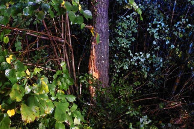 Schwerer Verkehrsunfall: Auto bei Regau mit Fahrerseite gegen Baum gekracht