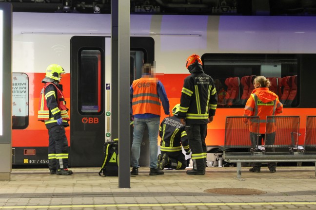 Schwer verletzt: Frau im Bahnhofsbereich in Neuhofen an der Krems von S-Bahn-Garnitur �berrollt