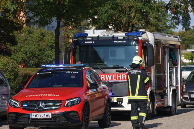 Vollbrand einer M�llinsel: Fassade sowie vier PKW bei gr��erem Brand in Wels-Neustadt besch�digt