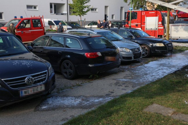 Vollbrand einer M�llinsel: Fassade sowie vier PKW bei gr��erem Brand in Wels-Neustadt besch�digt