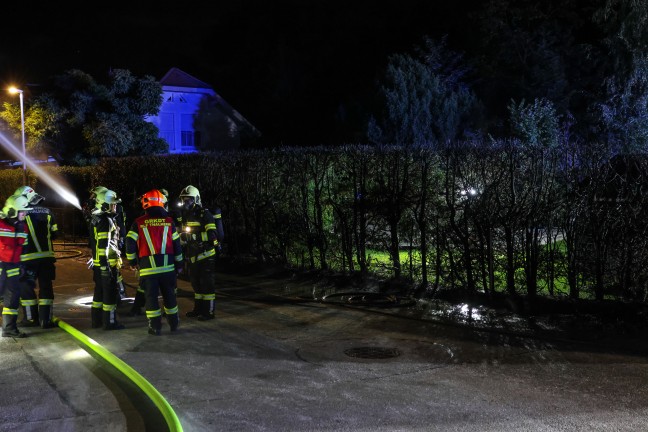 Brand einer Thujenhecke sorgte f�r Einsatz der Feuerwehr und der Polizei in Thalheim bei Wels