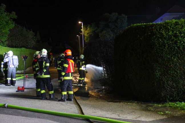 Brand einer Thujenhecke sorgte f�r Einsatz der Feuerwehr und der Polizei in Thalheim bei Wels