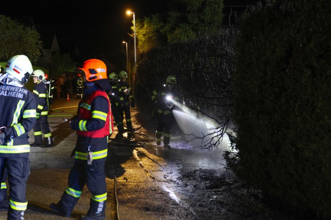 Brand einer Thujenhecke sorgte f�r Einsatz der Feuerwehr und der Polizei in Thalheim bei Wels