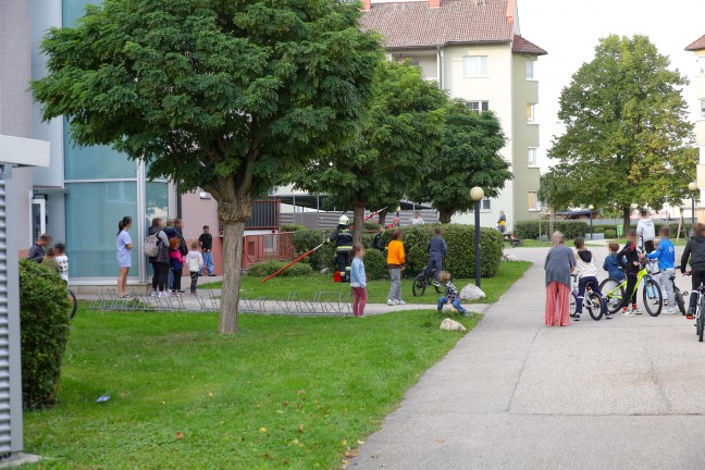 Abgest�rzter Lichtschachtrost in einer Wohnanlage in Wels-Neustadt durch Feuerwehr geborgen