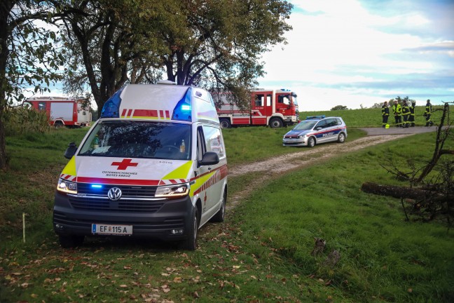 Personenrettung: Person bei M�harbeiten in Scharten unter Balkenm�her eingeklemmt