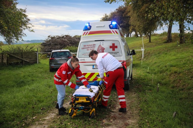 Personenrettung: Person bei M�harbeiten in Scharten unter Balkenm�her eingeklemmt