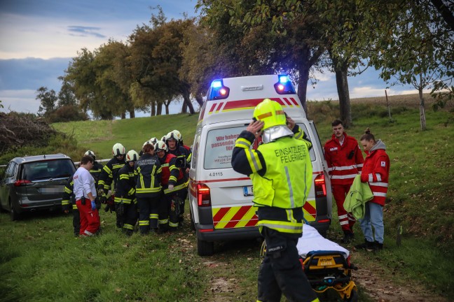 Personenrettung: Person bei M�harbeiten in Scharten unter Balkenm�her eingeklemmt