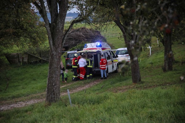 Personenrettung: Person bei M�harbeiten in Scharten unter Balkenm�her eingeklemmt
