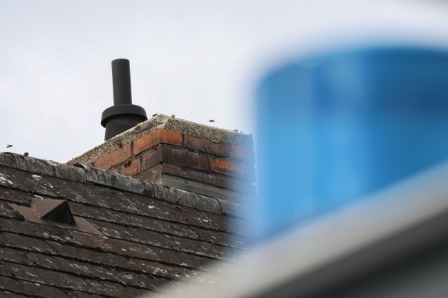 Hornissennest: Verstopfter Kamin sorgt f�r verrauchtes Wohnhaus in Wels-Pernau