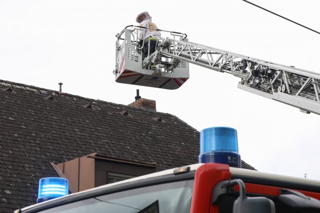 Hornissennest: Verstopfter Kamin sorgt f�r verrauchtes Wohnhaus in Wels-Pernau