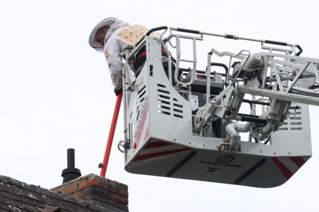 Hornissennest: Verstopfter Kamin sorgt f�r verrauchtes Wohnhaus in Wels-Pernau