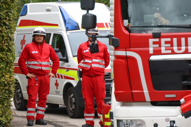 Hornissennest: Verstopfter Kamin sorgt f�r verrauchtes Wohnhaus in Wels-Pernau