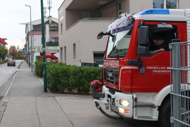Person drohte abzust�rzen: Feuerwehr zu Personenrettung nach Wels-Neustadt alarmiert