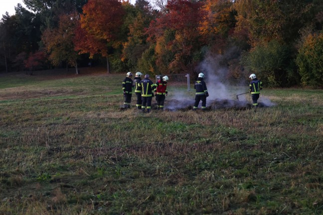 Brand eines Grashaufens auf dem Gel�nde einer Freizeitanlage in Wels-Vogelweide