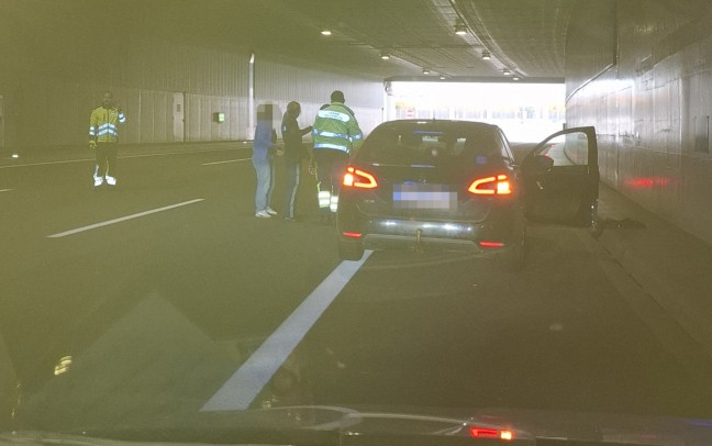 M�hlkreisautobahn: Ver�ngstigte Katze aus Tunnel Bindermichl in Linz gerettet