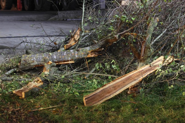 Auto nach Crash gegen Baum in Bad Hall �berschlagen und am Dach liegend zum Stillstand gekommen